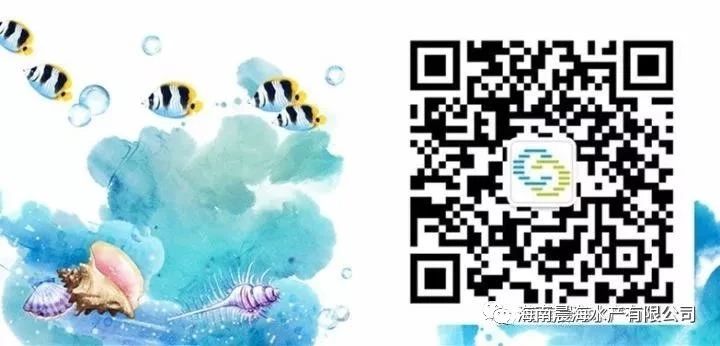 1597979616746940.jpg 圖38.jpg